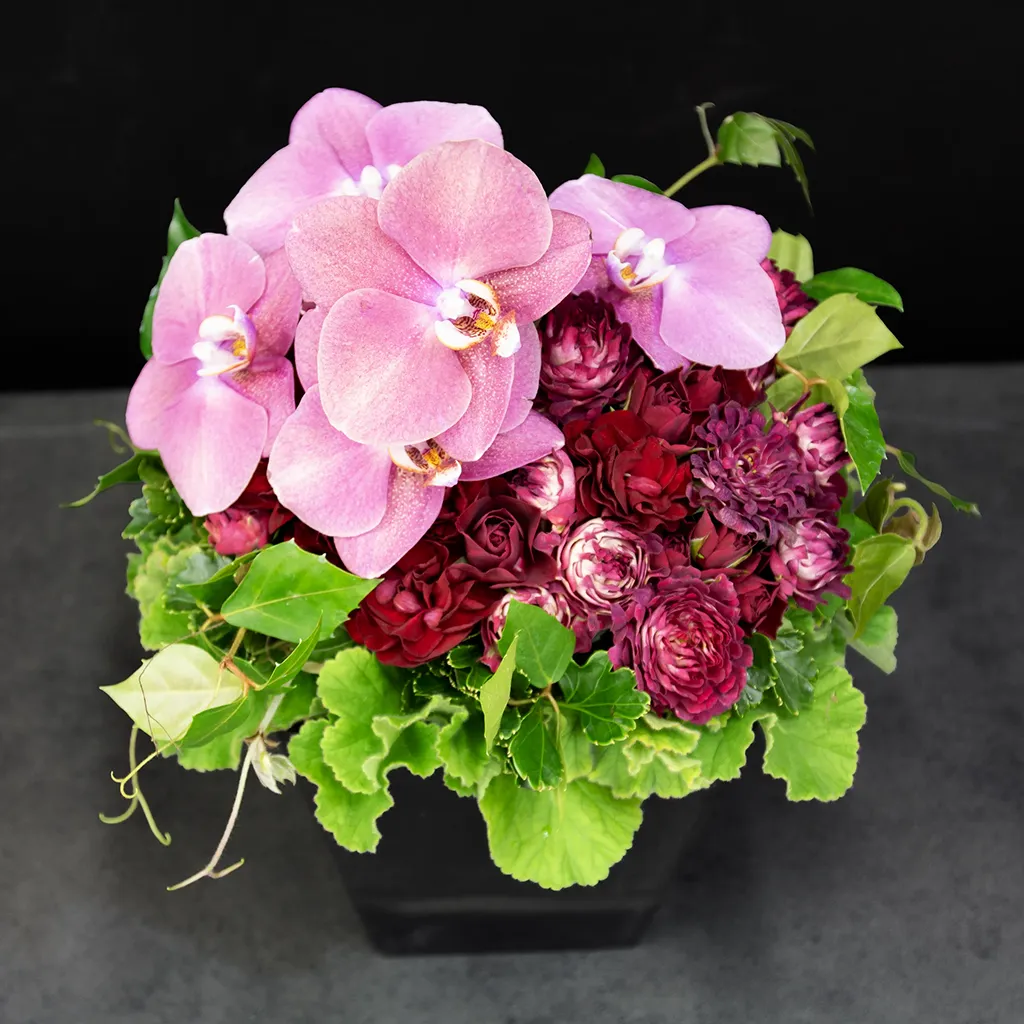 モルガナイト・ルージュ